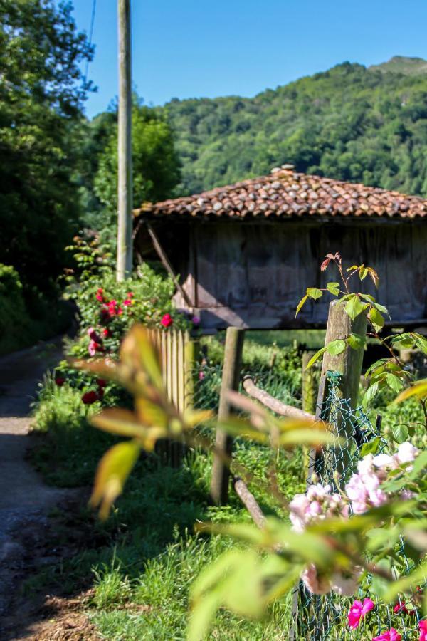 Casa Clarita Villa Caño Exterior foto